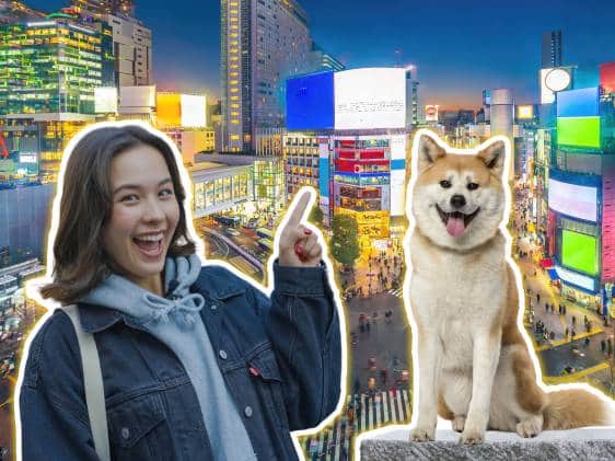 TOP 23 Things to Do in Shibuya, Tokyo