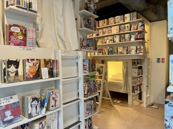 wide shot of Manga Art Hotel