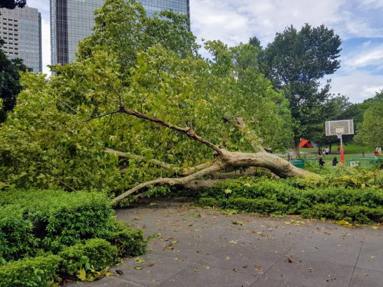 tokyo typhoon damage