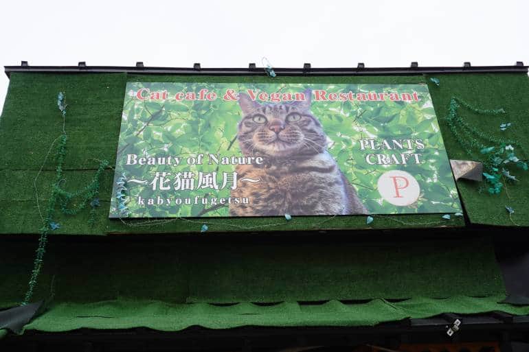 綠色的店面上有一幅貓在葉子中的大圖畫