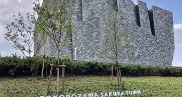 tokorozawa sakura town